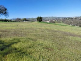 31646461