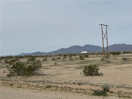31117767