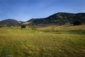 31299850