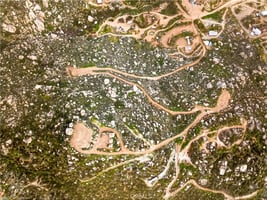 31464401