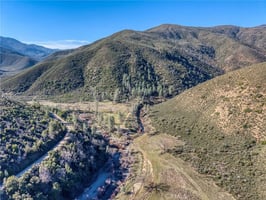 33209334
