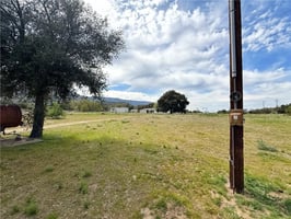 30828798