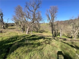 30829726
