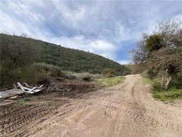 30831364