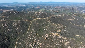 30831845