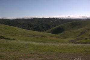 30832844