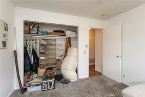 32980175