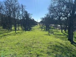 30837544