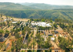 31317651