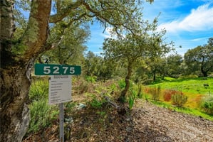 30847670