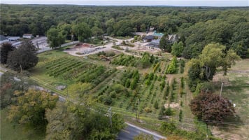 30857101