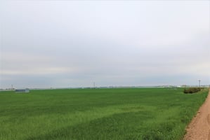 30860692