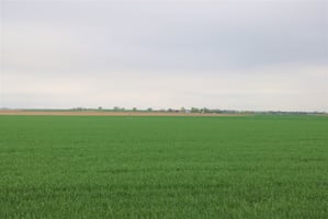 30860687