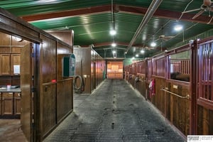 30862593