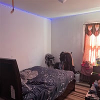 31239267