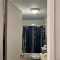 31239259