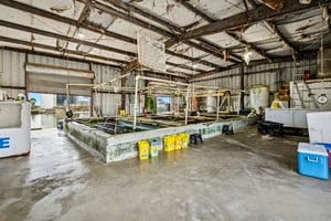 30879469