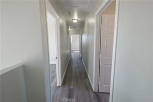 32233637