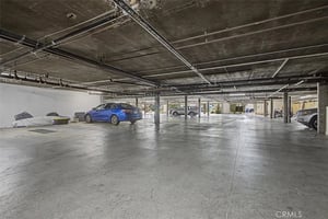 31647866