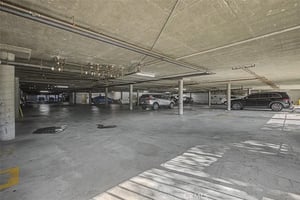 31647867