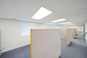 30888406
