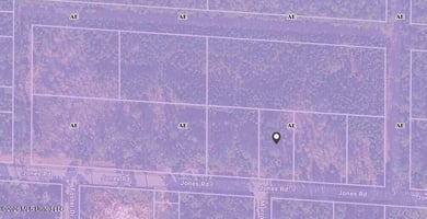 30894733