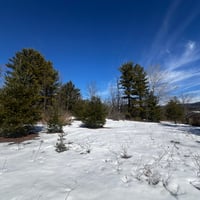 30896149