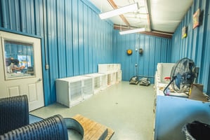 30902667