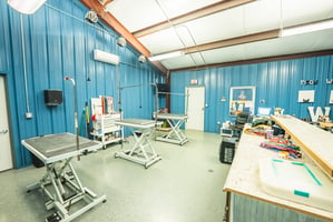 30902644
