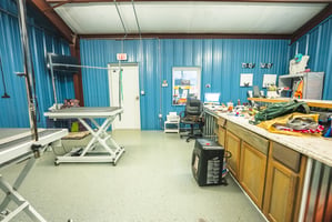 30902642