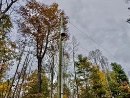 30902490
