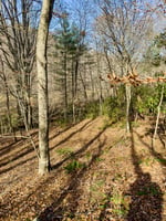 30902539