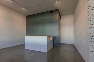 30904082
