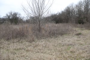 30905342