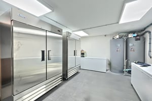 30905658