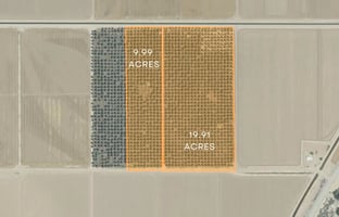 30907229