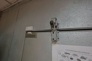 30913986