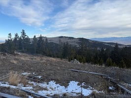 30916257