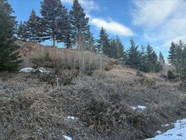 30916253