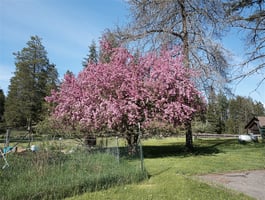 30916410