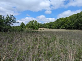 30916639