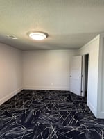 33497633