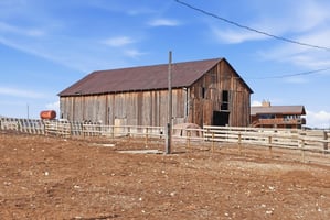 30943081