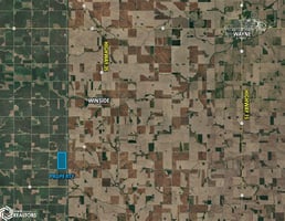 31655282