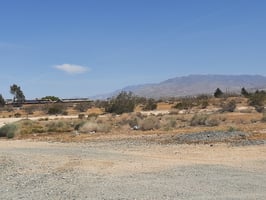 30952832