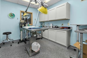30954159