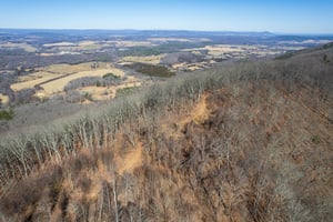 30953662
