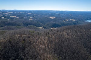 30953636