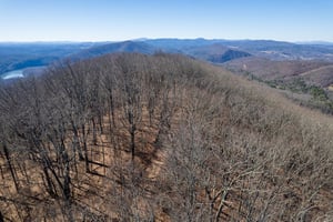 30953649