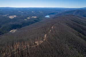 30953634